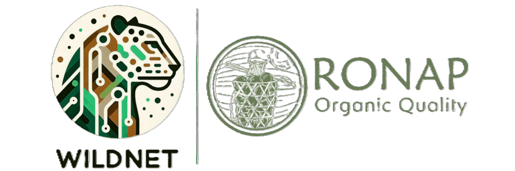 Cropped Propuesta De Logo Conjunto1 1024x341